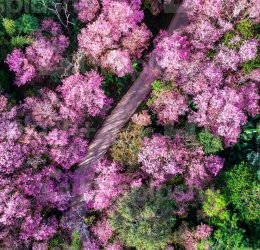 Туры в Чианг Раи 2025 - цены на путевки в Таиланд из Москвы от туроператора Coral Travel