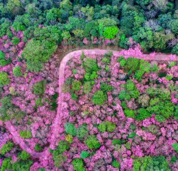 Туры в Чианг Раи 2025 - цены на путевки в Таиланд из Москвы от туроператора Coral Travel