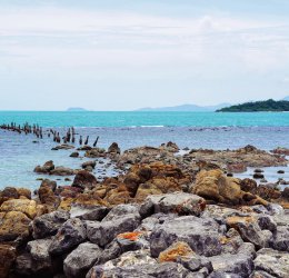 Туры в Сураттани 2025 - цены на путевки в Таиланд из Москвы от туроператора Coral Travel