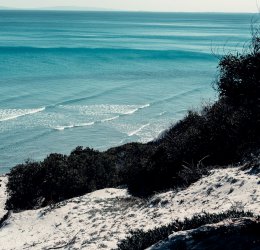 Туры в Хаммамет 2025 - цены на путевки в Тунис из Москвы от туроператора Coral Travel