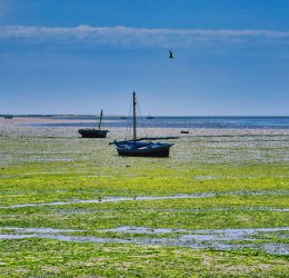 Туры в Седрию Бич 2025 - цены на путевки в Тунис из Москвы от туроператора Coral Travel