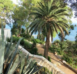 Туры в Табарку 2025 - цены на путевки в Тунис из Москвы от туроператора Coral Travel