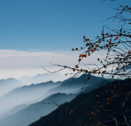 Туры в Картепе 2025 - цены на путевки в Турцию из Москвы от туроператора Coral Travel