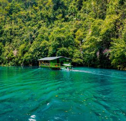 Туры на о. Бохоль 2025 - цены на путевки на Филиппины из Москвы от туроператора Coral Travel