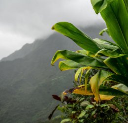 Туры на Таити 2025 - цены на путевки во Французскую полинезию из Москвы от туроператора Coral Travel