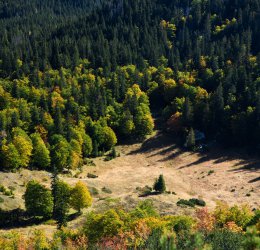 Туры в Жабляк 2025 - цены на путевки в Черногорию из Москвы от туроператора Coral Travel