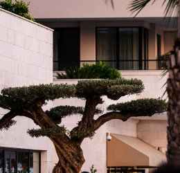 Туры в Тиват 2025 - цены на путевки в Черногорию из Москвы от туроператора Coral Travel