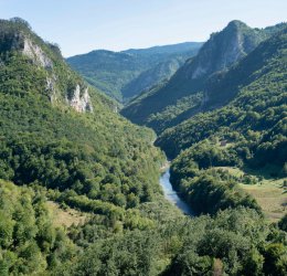 Туры в Сутоморе 2025 - цены на путевки в Черногорию из Москвы от туроператора Coral Travel