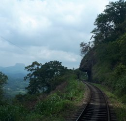 Туры в Коггалу 2025 - цены на путевки в Шри-Ланку из Москвы от туроператора Coral Travel