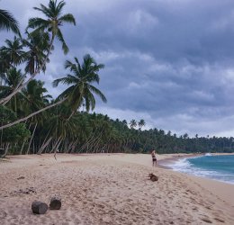 Туры в Коггалу 2025 - цены на путевки в Шри-Ланку из Москвы от туроператора Coral Travel