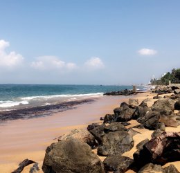 Туры в Коломбо 2025 - цены на путевки в Шри-Ланку из Москвы от туроператора Coral Travel