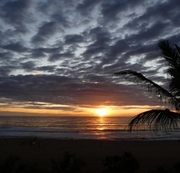 Туры в Негомбо 2025 - цены на путевки в Шри-Ланку из Москвы от туроператора Coral Travel