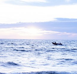 Туры в Негомбо 2025 - цены на путевки в Шри-Ланку из Москвы от туроператора Coral Travel