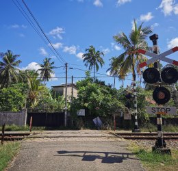 Туры в Хиккадуву 2025 - цены на путевки в Шри-Ланку из Москвы от туроператора Coral Travel