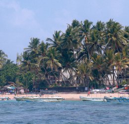 Туры в Хиккадуву 2025 - цены на путевки в Шри-Ланку из Москвы от туроператора Coral Travel