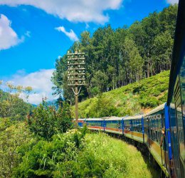 Туры в Калутару 2025 - цены на путевки в Шри-Ланку из Москвы от туроператора Coral Travel