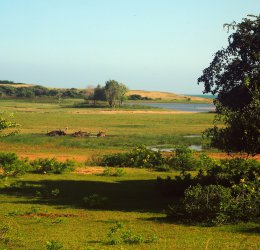 Туры в Кандаламу 2025 - цены на путевки в Шри-Ланку из Москвы от туроператора Coral Travel