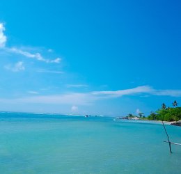 Туры в Канди 2025 - цены на путевки в Шри-Ланку из Москвы от туроператора Coral Travel