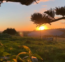 Туры в Джордж 2025 - цены на путевки в ЮАР из Москвы от туроператора Coral Travel