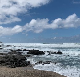 Туры в Джордж 2025 - цены на путевки в ЮАР из Москвы от туроператора Coral Travel