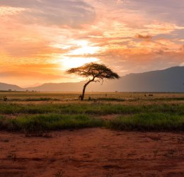 Туры в Джордж 2025 - цены на путевки в ЮАР из Москвы от туроператора Coral Travel