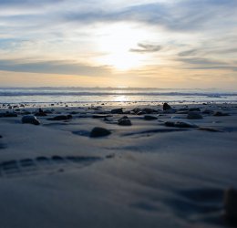 Туры в Кейптаун 2025 - цены на путевки в ЮАР из Москвы от туроператора Coral Travel