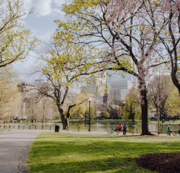 Туры в Парк Крюгера и Мпумалангу 2025 - цены на путевки в ЮАР из Москвы от туроператора Coral Travel