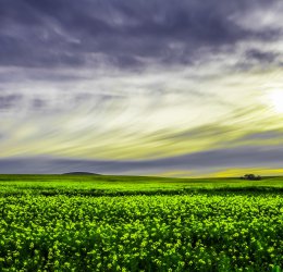 Туры в Сан Сити 2025 - цены на путевки в ЮАР из Москвы от туроператора Coral Travel