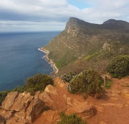 Туры в Сан Сити 2025 - цены на путевки в ЮАР из Москвы от туроператора Coral Travel