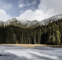 Туры в Албену 2025 - цены на путевки в Болгарию из Москвы от туроператора Coral Travel