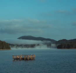 Туры в Боровец 2025 - цены на путевки в Болгарию из Москвы от туроператора Coral Travel