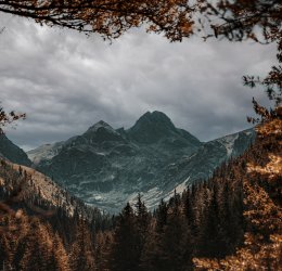 Туры в Кранево 2025 - цены на путевки в Болгарию из Москвы от туроператора Coral Travel