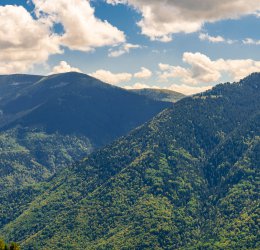 Туры на Солнечный Берег 2025 - цены на путевки в Болгарию из Москвы от туроператора Coral Travel