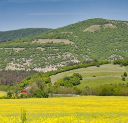 Туры в Шкорпиловци 2025 - цены на путевки в Болгарию из Москвы от туроператора Coral Travel