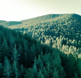 Туры в Шкорпиловци 2025 - цены на путевки в Болгарию из Москвы от туроператора Coral Travel