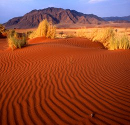 Туры  2025 из Москвы - цена на отдых от туроператора Coral Travel