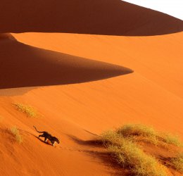 Туры  2025 из Москвы - цена на отдых от туроператора Coral Travel