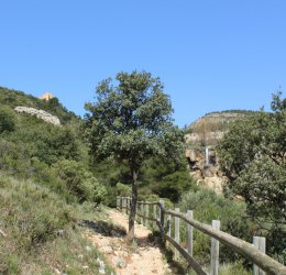 Туры в Валенсию 2025 - цены на путевки в Испанию из Москвы от туроператора Coral Travel