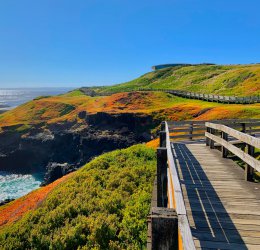 Туры в Виторию 2025 - цены на путевки в Испанию из Москвы от туроператора Coral Travel