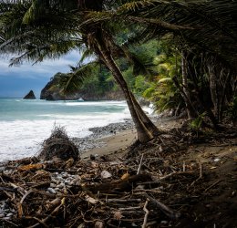 Туры в Коста Тропикал 2025 - цены на путевки в Испанию из Москвы от туроператора Coral Travel