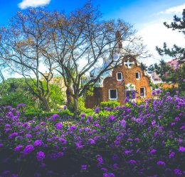 Туры на Канарские о-ва Иерро 2025 - цены на путевки в Испанию из Москвы от туроператора Coral Travel