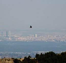 Туры в Уэльву 2025 - цены на путевки в Испанию из Москвы от туроператора Coral Travel