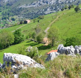 Туры в Кантабрию 2025 - цены на путевки в Испанию из Москвы от туроператора Coral Travel