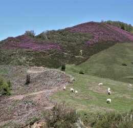 Туры в Кантабрию 2025 - цены на путевки в Испанию из Москвы от туроператора Coral Travel