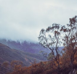 Туры в Великобританию 2025 из Москвы - цена на отдых от туроператора Coral Travel