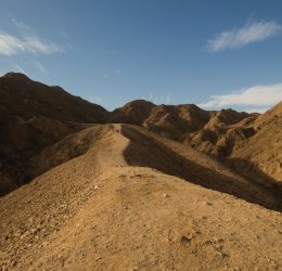 Туры в Израиль 2025 из Москвы - цена на отдых от туроператора Coral Travel