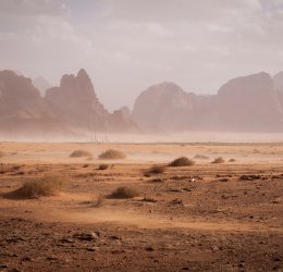 Туры в Иорданию 2025 из Москвы - цена на отдых от туроператора Coral Travel