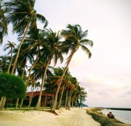 Туры в Малайзию 2025 из Москвы - цена на отдых от туроператора Coral Travel