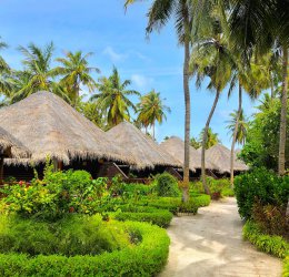 Туры на Мальдивы 2025 из Москвы - цена на отдых от туроператора Coral Travel