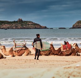 Туры в Марокко 2025 из Москвы - цена на отдых от туроператора Coral Travel